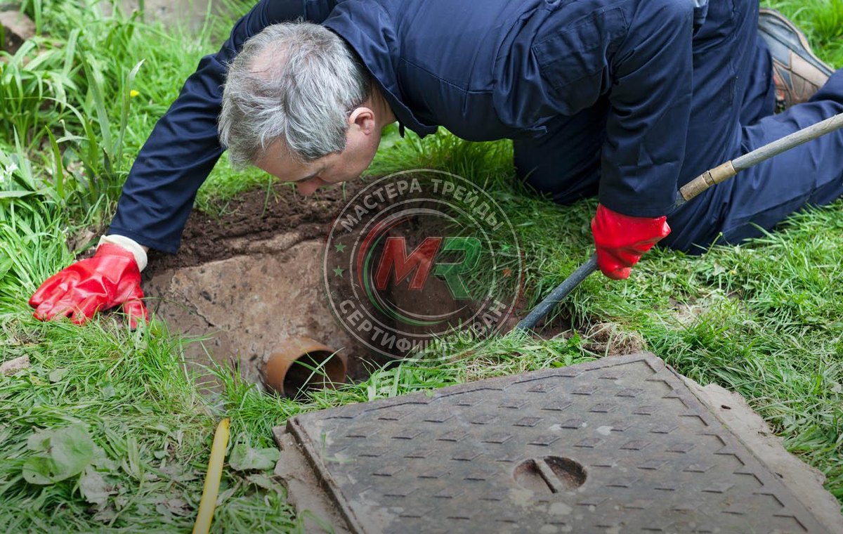 Drain Specialist